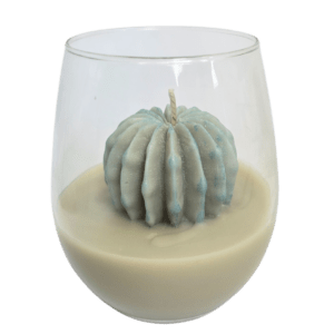 Handgemaakte cactus kaars uit de succulent collectie in een glas.