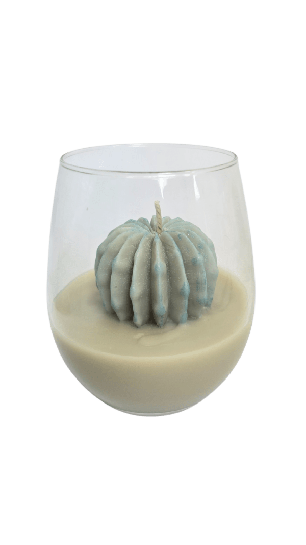 Handgemaakte cactus kaars uit de succulent collectie in een glas.